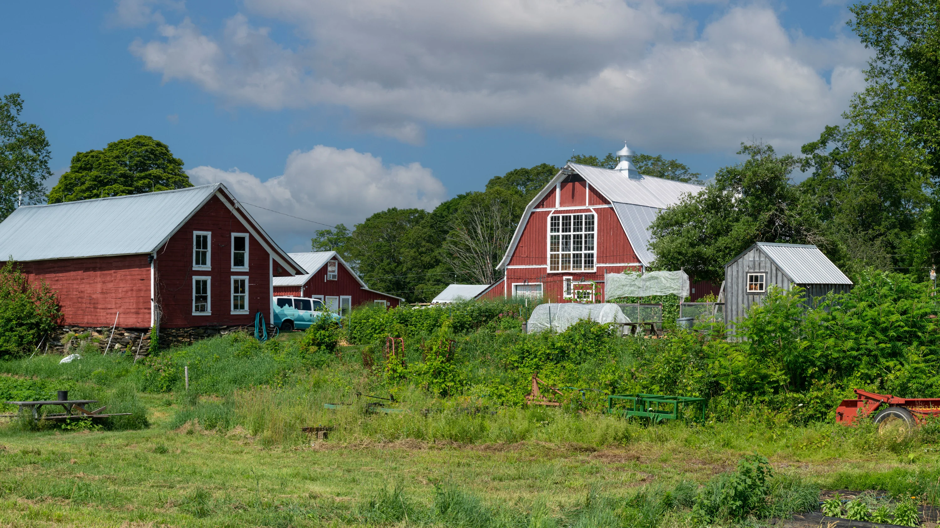 Vermont Soil, Organic Soul